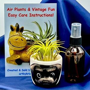 Mini DOG Planter Air Plant Set - Spanish Moss Fine Mist Sprayer FREE Air Plant